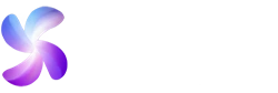 1_seedance seedance