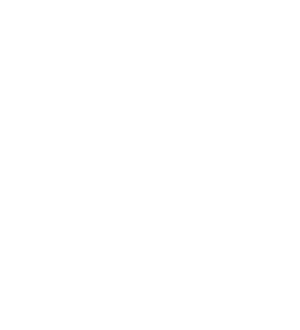 Burger King Burger King